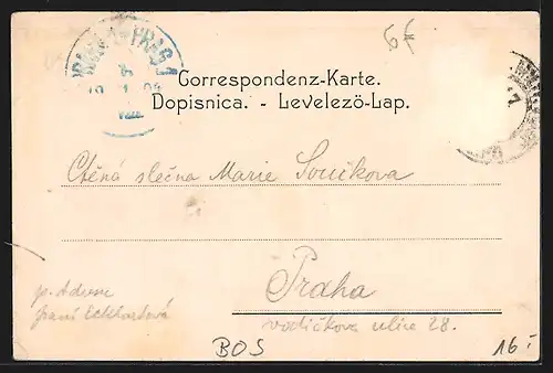 AK Sarajevo, Vereinshaus mit Mauer