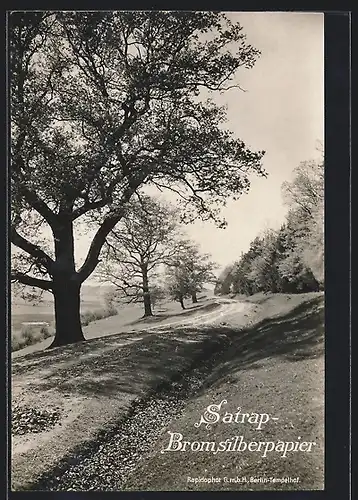 AK Reklame für Fotozubehör, Sigurd Amateurplatte und Satrap Photo-Papier