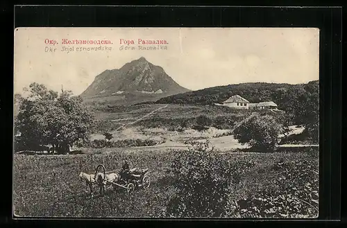 AK Schelesnowodsk, Pferdekutsche auf der Wiese mit Blick zum Anwesen