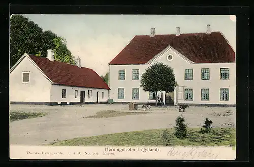 AK Herningsholm, Jylland, Hunde vor dem Landhaus