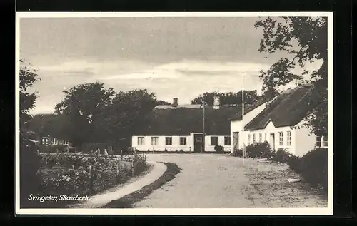 AK Skaerbaek, Svingelen