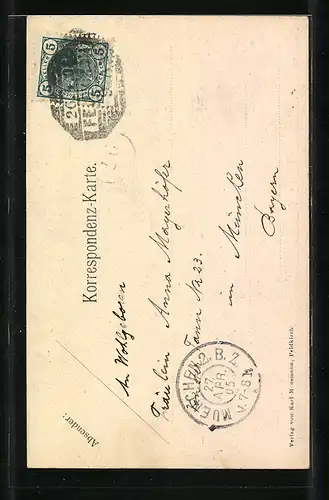 AK Feldkirch, Verschiedene Ansichten des Ortes