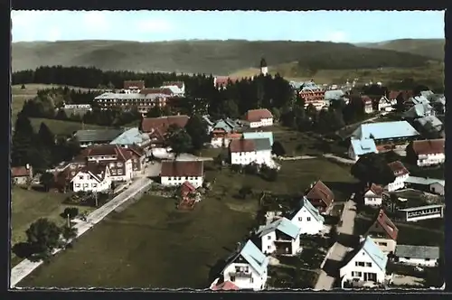 AK Höchenschwand /Hochschwarzwald, Teilansicht