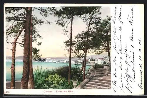 AK Cannes, Entre les Pins