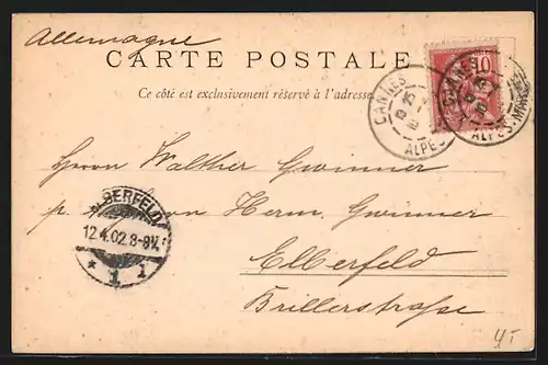 AK Cannes, Entre les Pins