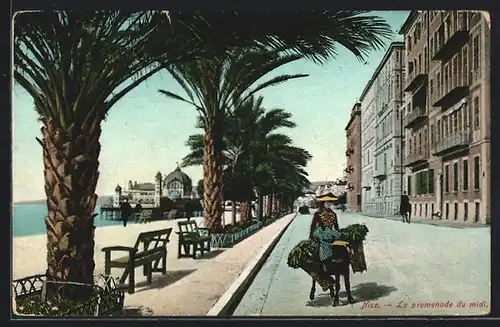 AK Nice, La promenade du midi