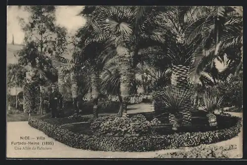 AK Nice, Villa Furtado-Heine 1895, Une Allée de Palmiers