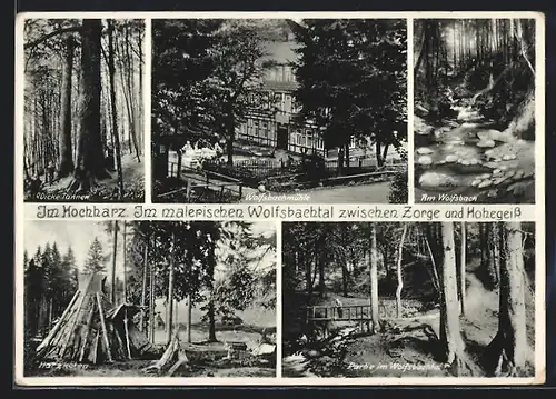 AK Zorge /Hochharz, Gasthaus Wolfsbachmühle im Wolfsbachtal zwischen Zorge und Hohegeiss, Harzköten, Dicke Tannen