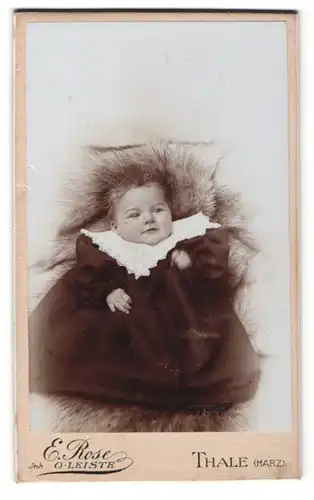 Fotografie E. Rose, Thale, Portrait niedliches Kleinkind im schwarzen Kleidchen