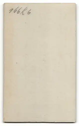Fotografie Louis Frohwein, Mannheim, Portrait bezauberndes Fräulein im weissen Kleid