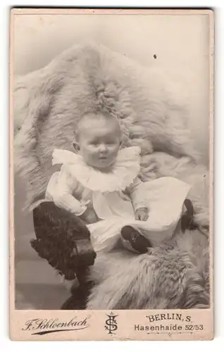 Fotografie F. Schloenbach, Berlin, Portrait niedliches Kleinkind im weissen Kleidchen