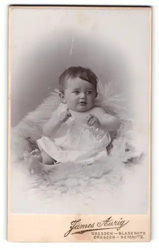 Fotografie James Aurig, Dresden-Blasewitz, Portrait niedliches Kleinkind im weissen Hemd auf Fell sitzend