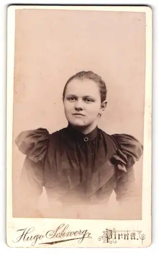 Fotografie Hugo Schwerg, Pirna, Portrait junge Dame mit zurückgebundenem Haar