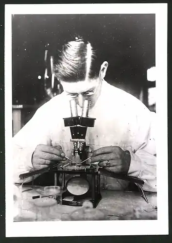 Fotografie Ansicht Berlin-Dahlem, Institut für Bienenkunde, Wissenschaftler untersucht Imkererzeugnis 1943