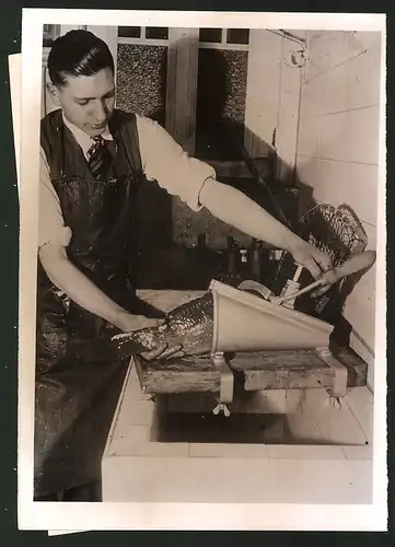 Fotografie Fischhändler benutzt zeitgemässen Karpfen-Schlachtapparat 1940