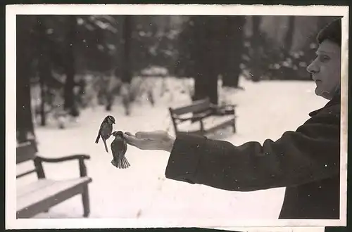Fotografie Ansicht Berlin, Tiergartengärtner füttert Meisen aus der Hand 1941