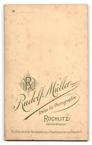 Fotografie Rudolf Müller, Rochlitz, Portrait charmanter junger Mann in Fliege und Jackett