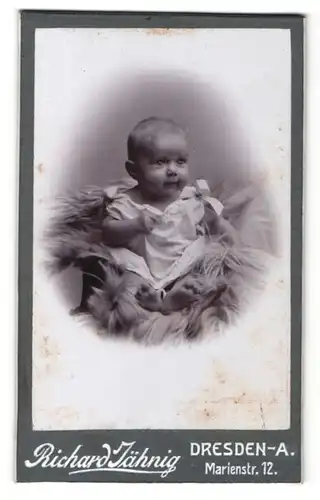 Fotografie Richard Jähnig, Dresden-A, Portrait süsses Kleinkind im weissen Hemd auf Fell sitzend