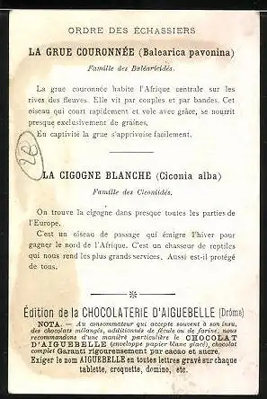 Sammelbild Chocolaterie d'Aiguebelle, Ondre des Echassiers