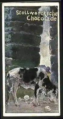 Sammelbild Stollwerck Schokolade, ein Rind am Ogerturm