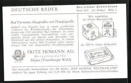 Sammelbild Fritz Homann AG, Deutsche Bäder, Bad Pyrmont, Hauptallee mit Hauptquelle