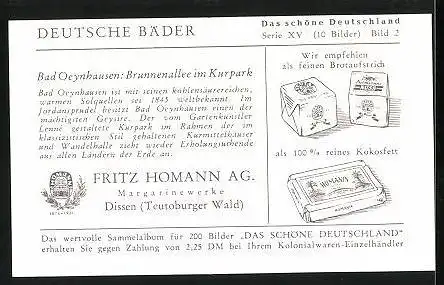 Sammelbild Fritz Homann AG, Deutsche Bäder, Bad Qeynhausen, Brunnenallee im Kurpark