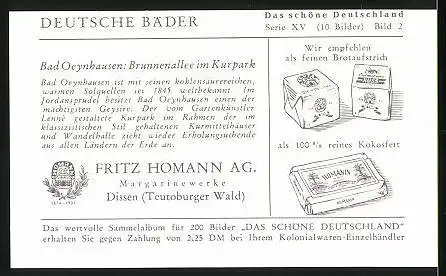 Sammelbild Fritz Homann AG, Deutsche Bäder, Bad Oeynhausen, Brunnenallee im Kurpark