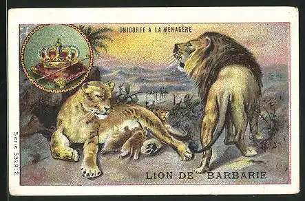 Sammelbild Duroyon & Ramette, Chicorée Extra, Lion de Barbarie, Löwen und Krone
