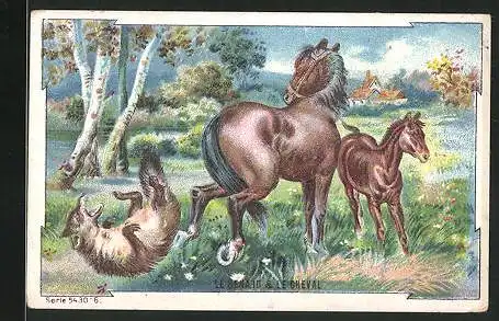 Sammelbild Duroyon & Ramette, Chicorée a la Ménagére, le Loup et le Cheval, le Renard & le Cheval, Pferd tritt Wolf