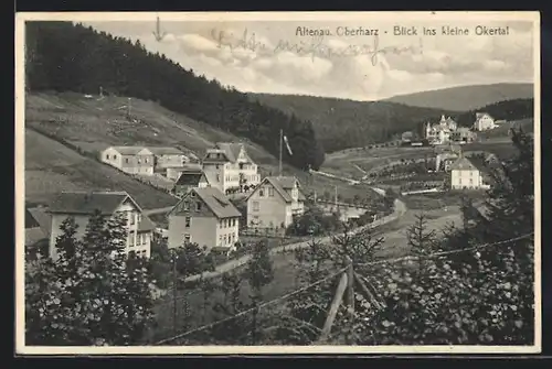 AK Altenau / Oberharz, Blick ins kleine Okertal