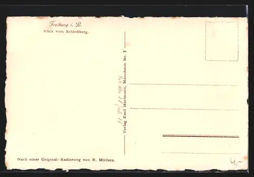 AK Freiburg i. B., Blick vom Schlossberg