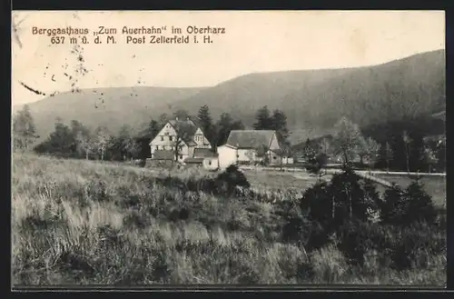 AK Zellerfeld / Oberharz, Berggasthaus Zum Auerhahn