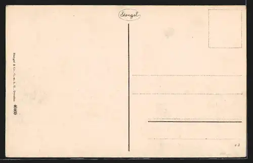 AK Koblenz, Regierungsgebäude