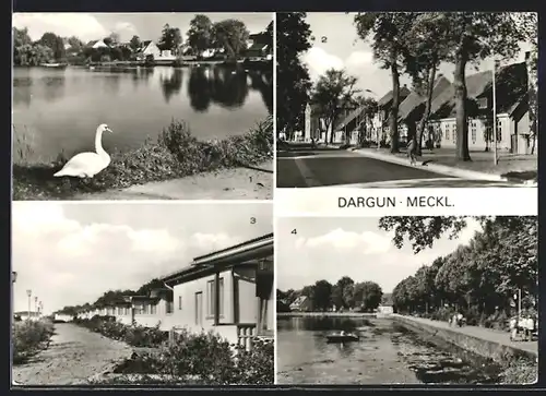 AK Dargun i. M., Klostersee, Schlossstrasse, Feriensiedlung, Uferpromenade