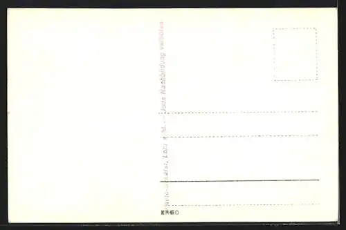AK Lichtenau / Spessart, Ortspartie am Waldrand