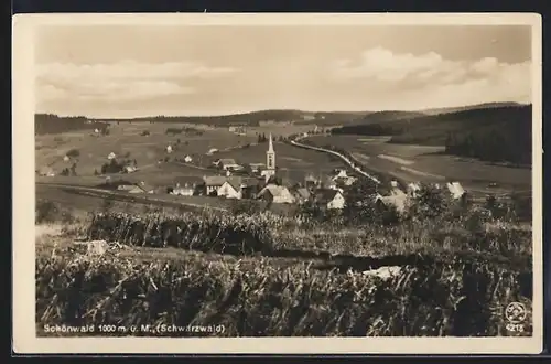 AK Schönwald / Schwarzwald, Totalansicht