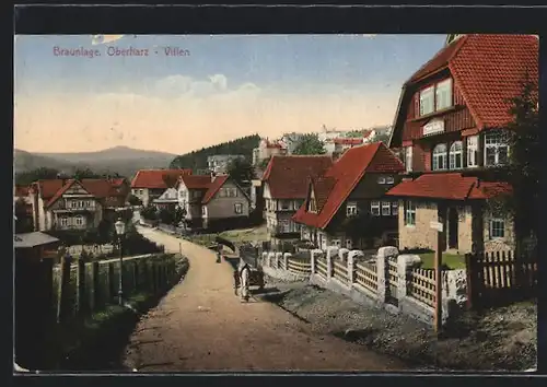 AK Braunlage / Harz, Villenviertel