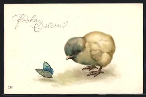 AK Süsses Osterküken beobachtet einen Schmetterling