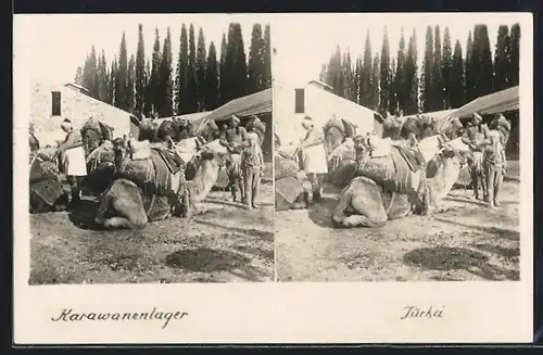 Stereo-AK Türkisches Karawanenlager mit Kamelen