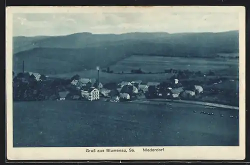 AK Blumenau i. Sa., Blick auf das Niederdorf