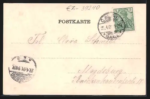 AK Calbe a. S., Totalansicht