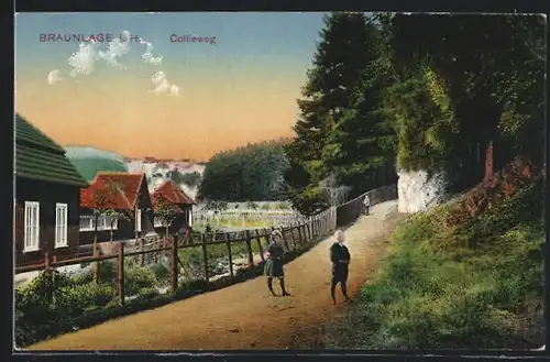 AK Braunlage i. H., Kinder auf dem Collieweg