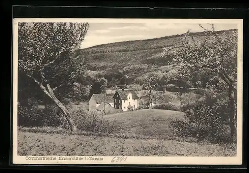 AK Neuweilnau / Taunus, Gaststätte Erbismühle