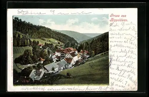 AK Rippoldsau, Ortsansicht aus der Vogelschau