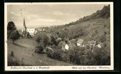 AK Auerbach a. d. Bergstrasse, Blick auf Oberdorf und Weinberge