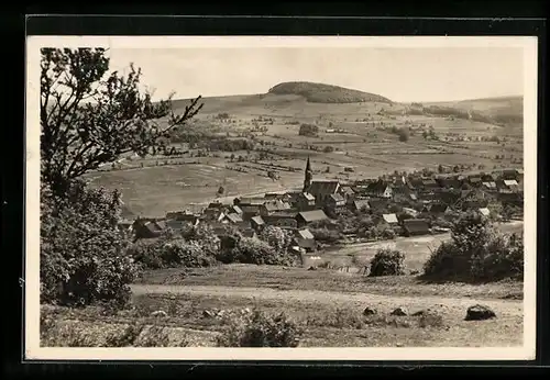 AK Wüstensachsen / Rhön, Ortsansicht mit Steinkopf