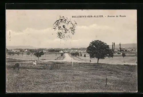 AK Bellerive-sur-Allier, Avenue de Russie