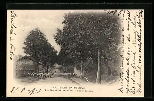 AK Nèris-les-Bains, Route de Villebret-Les Moutons