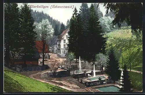 AK Allerheiligen /Schwarzwald, Ortspartie