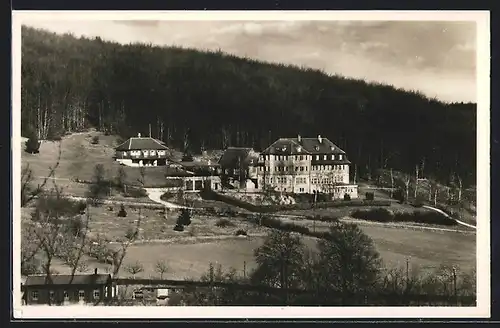 AK Lichtenstein, Alb-Hotel Traifelberg